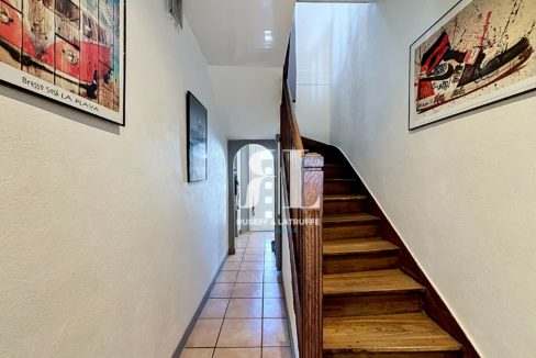 petit_00043-37768-0.jpg