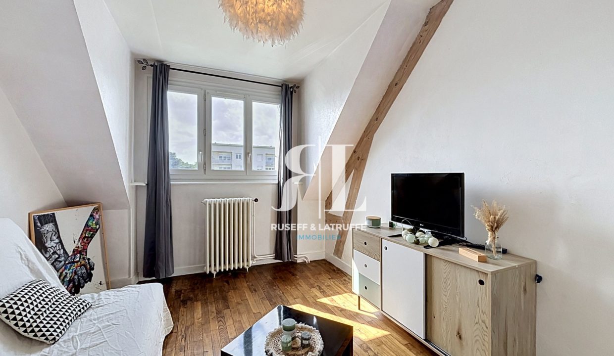 petit_00050-37768-0.jpg